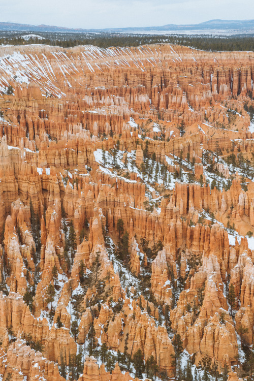 vvnnie:  A snowy Bryce Canyon // Instagram /