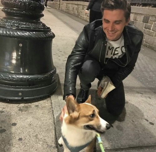 fionapplesauce - Antoni Porowski + corgis