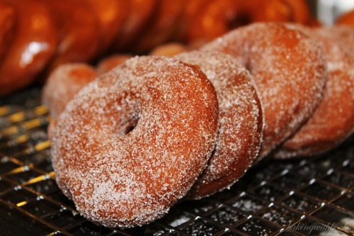 Yeast Donuts Happy Holidays, friends! Ingredients for Donuts 3 cups all purpose flour