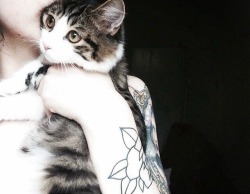 bisou