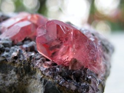 seyelle:  Gemmy Rhodochrosite  