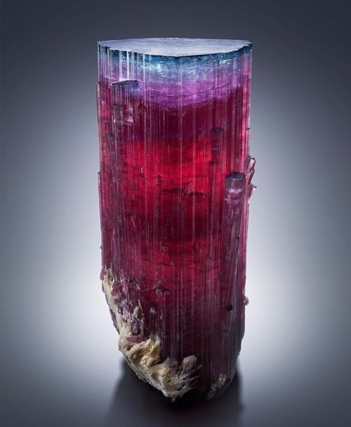 mineraliety:
“ Blue Cap Tourmaline photographed by @bendecamp /////
www.instagram.com/mineraliety
”