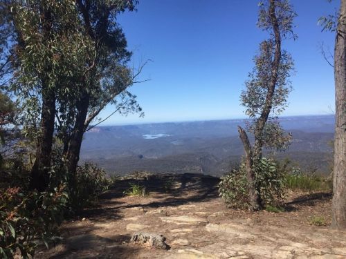 Went on a 21km / 5 hour return walk from home yesterday to a remote lookout  #nature #bushwalking #h