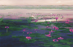yunae:  final fantasy x scenery - [1/?] 