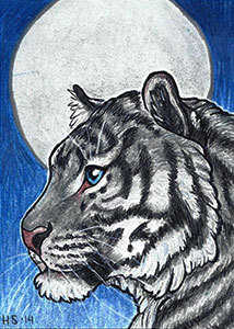 hfoursaur:  My part of an ATC/ACEO trade with littlegraytiger of her lovely character Sakara. It’s b