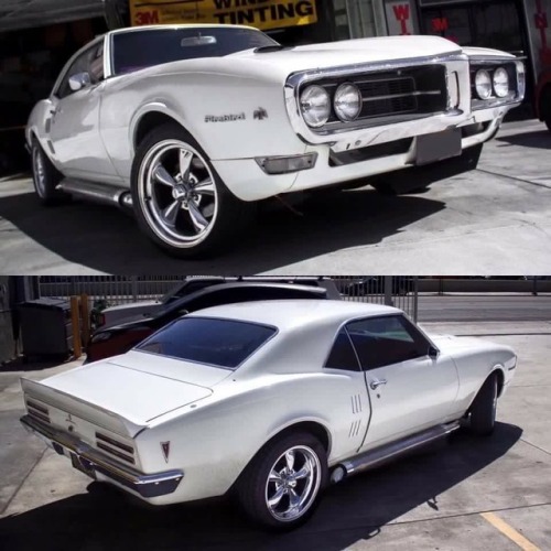 musclecars4ever