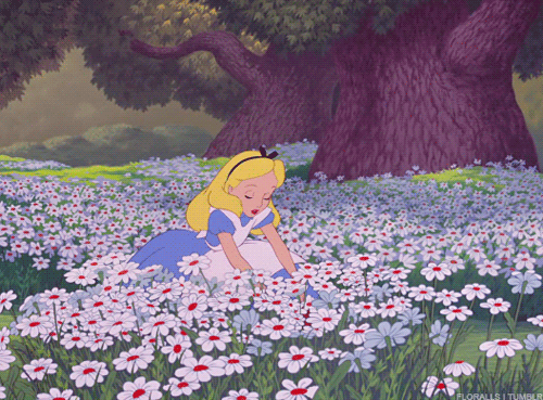astrolocherry: Moon in Libra - The Love Potion of Luna &amp; Libra Those born