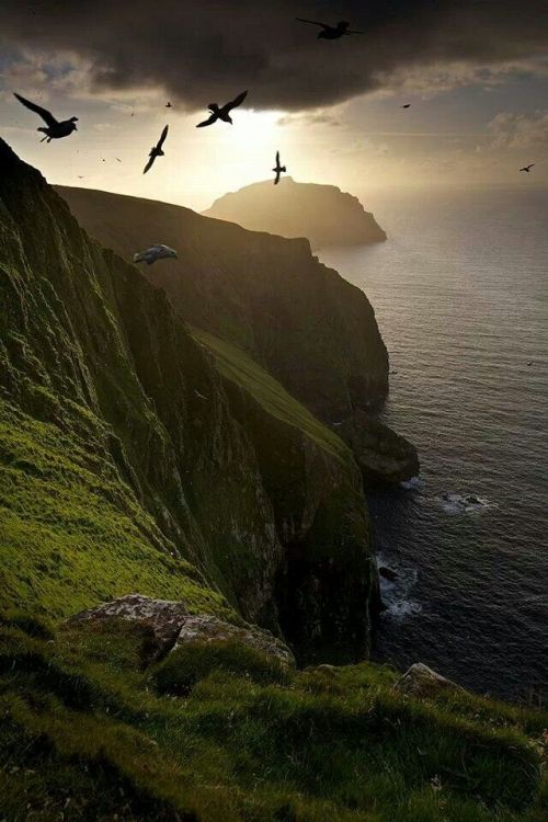 parergonal:Marcus McAdam PhotographyFulmars fly in the shadow of the UK’s tallest cliff, with the is