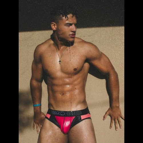 Speedo Celebration