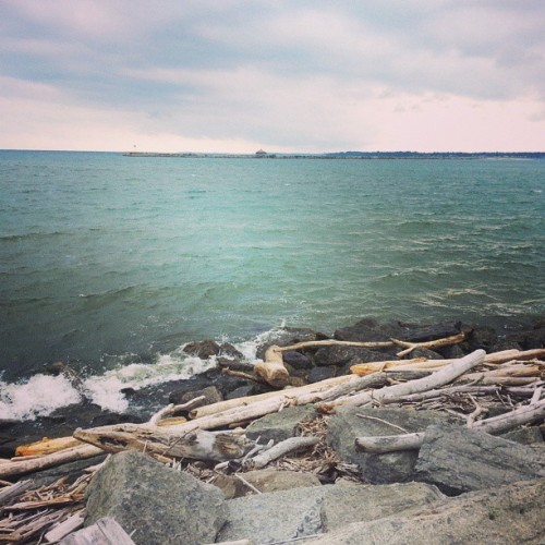 Just sitting by the water (at Erie Basin Marina)