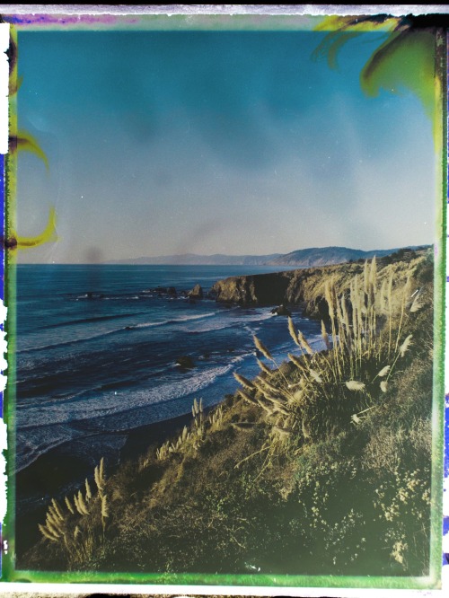 Northern Mendocino Coast Polaroid Land 100 - Fuji fp100c film