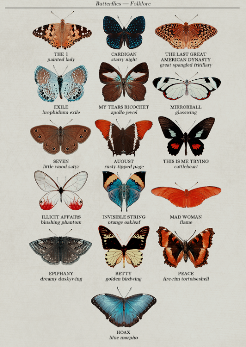 reputayswift:folklore track list as butterflies (based on species names)