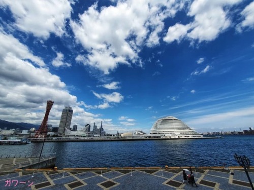 Nature is always and never the same17.6.19 (at Kobe Port Tower)https://www.instagram.com/p/Bz0l&ndas