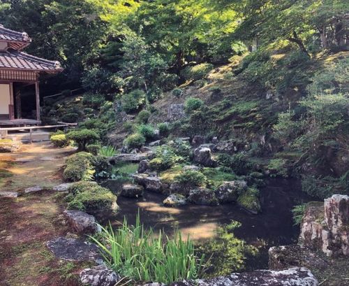 ＼おにわさん更新情報／ ‪[ 兵庫県豊岡市 ] 宗鏡寺庭園（沢庵寺） Sukyo-ji Temple Garden (Takuandera), Toyooka, Hyogo の写真・記事を更新しました