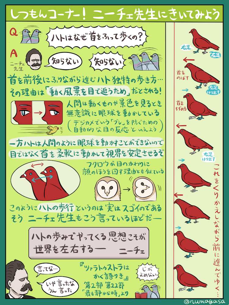 highlandvalley:街を歩く哲学的タフガイ「ドバト」の図解です。カワラバトとも呼ばれる身近な鳥の代表格であり、めったやたらに数が多いせいで邪魔もの扱いされがちなハトでもありますが、その生態や行動からは意外な奥深さを感じ取れます。今度みかけたら、ぜひ近寄って観察してみてください。たぶん逃げないので…。https://twitter.com/numagasa/status/855722061909565441/photo/1