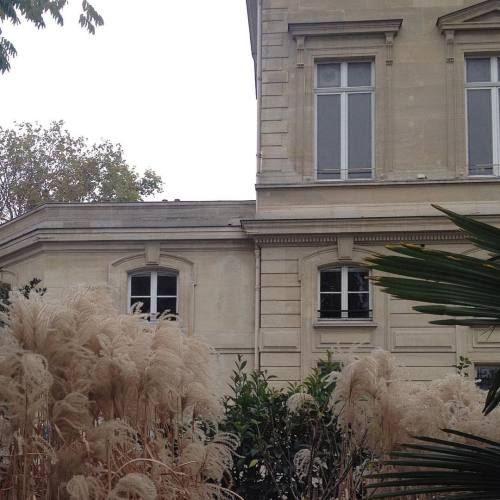 softfeline: rectoverso_paris