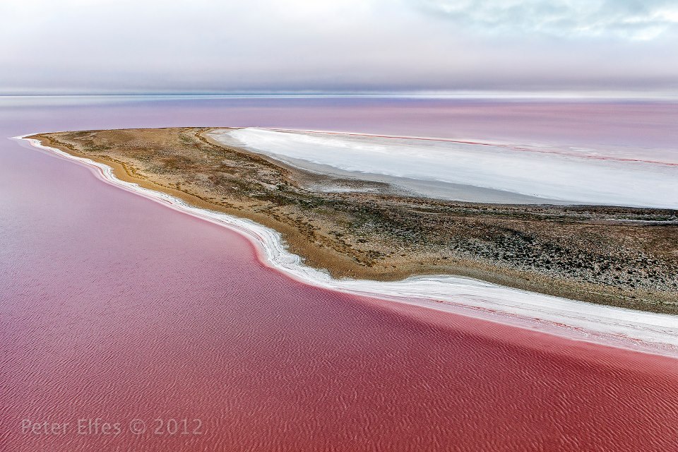cycomu:  ‘Silcrete Island’ - Lake Eyre, SAWater coloured by pink algae surrounds