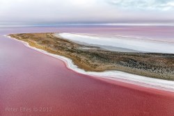 cycomu:  ‘Silcrete Island’ - Lake Eyre, SAWater coloured by pink algae surrounds an island in Lake Eyre. This rare transition in water colour only occurs once the water has been present in the Lake for several seasons 