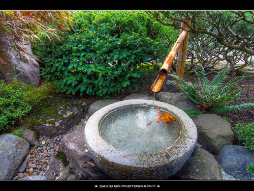 Kakehi (Bamboo Fountain) in Portland Japanese Garden