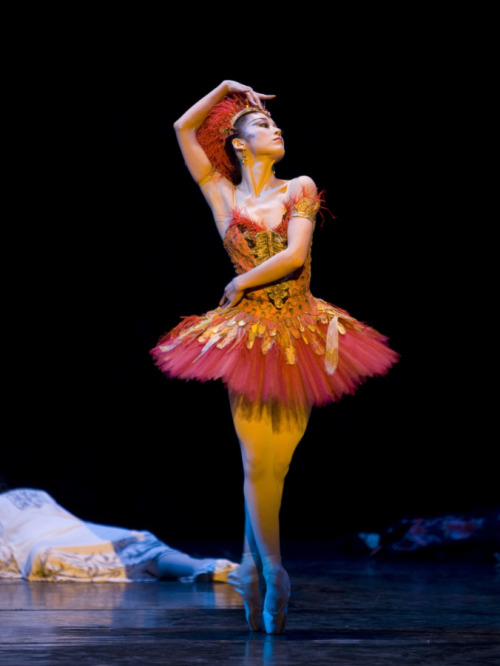 swanlake1998:nao sakuma photographed performing as the title role in michel fokine’s the firebird by