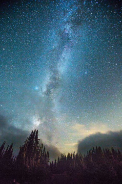 tulipnight:  Milky Way by Edward Lai / Cloverleaf