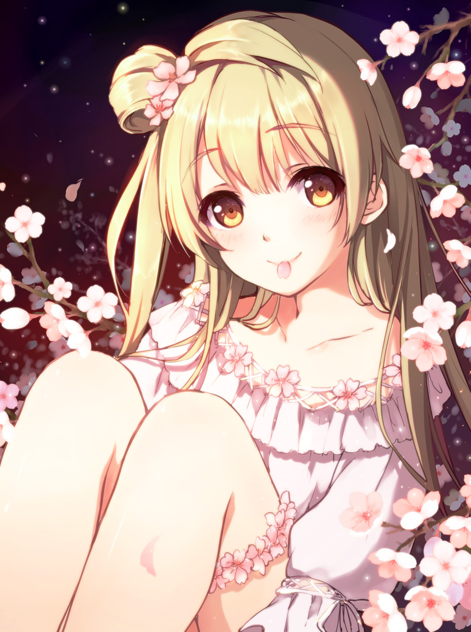 moehi:  桜と鳥 