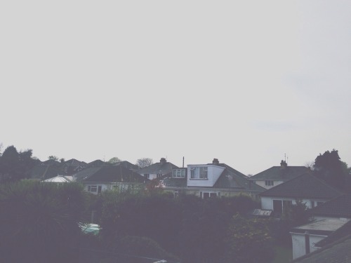 Photography Project #1
