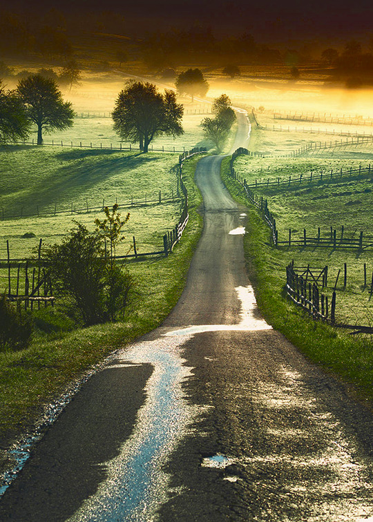 enantiodromija:  Green Trail by Legends 