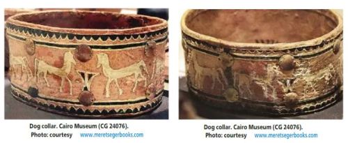 pet-interests:Some egyptian dog history - Deux colliers de chien dans la tombe de Maiherpri, Pharaon