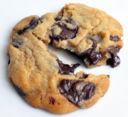 im-horngry:  Freshly Baked Chocolate Chip Cookies - As Requested! 