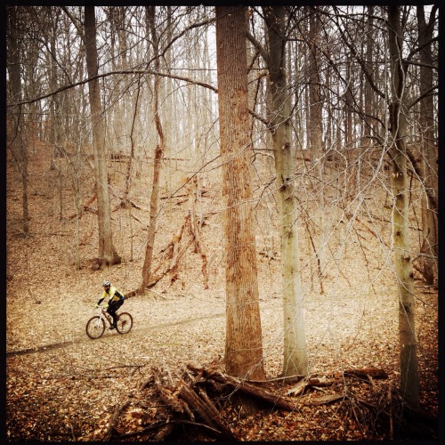 MOCO ride
