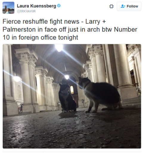 thecoppercow:edmilibum:The only news we really care about - Palmerston, the official Foreign Office 