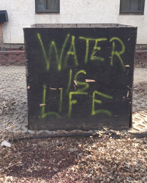 ‘Water is Life’Seen in New York