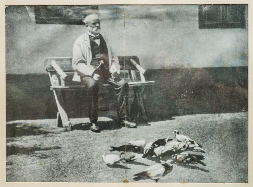 composersdoingnormalshit:Antonín Dvořák feeding some pigeons.