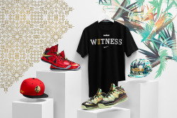 Mrbasketballbrasil:  Nike Lebron James Championship Pack. Celebrando O 2 Título