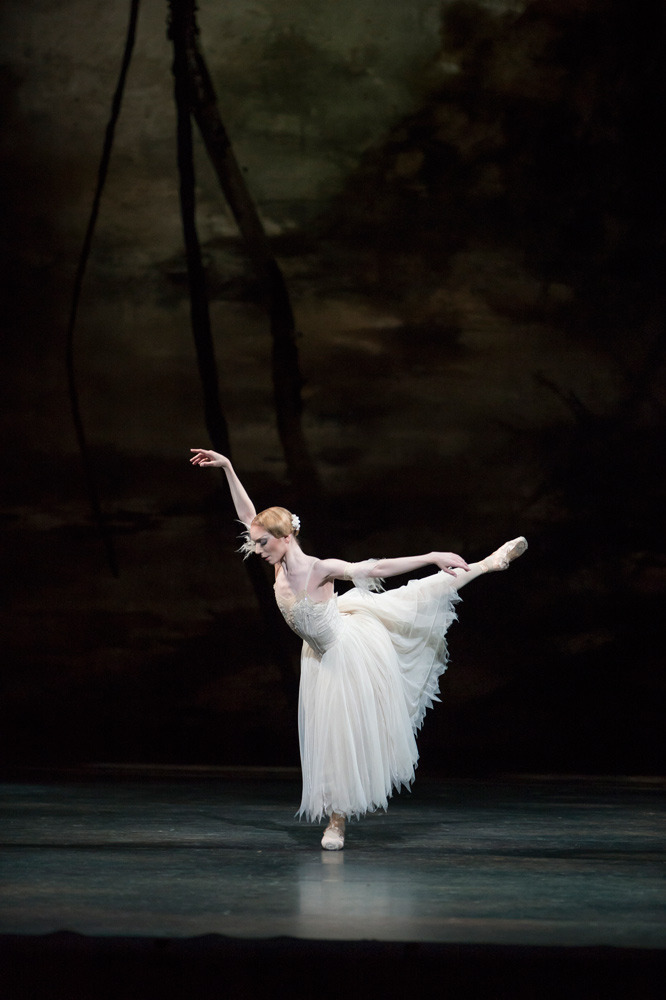 Sarah Lamb in Giselle, Royal Ballet, February 2016. © Bill Cooper.
In Act I, Lamb’s overawed by Golding’s Albrecht, and pathetically grateful when he (briefly) shows concern over her near-fainting fit. Lamb compensates for her relative lack of...