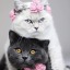 lovelygif