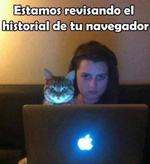 FUTUBANDERA ¡ES LA LUUUZ!