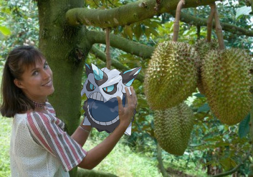 missversiris:here we see mega glalie in its natural habitat