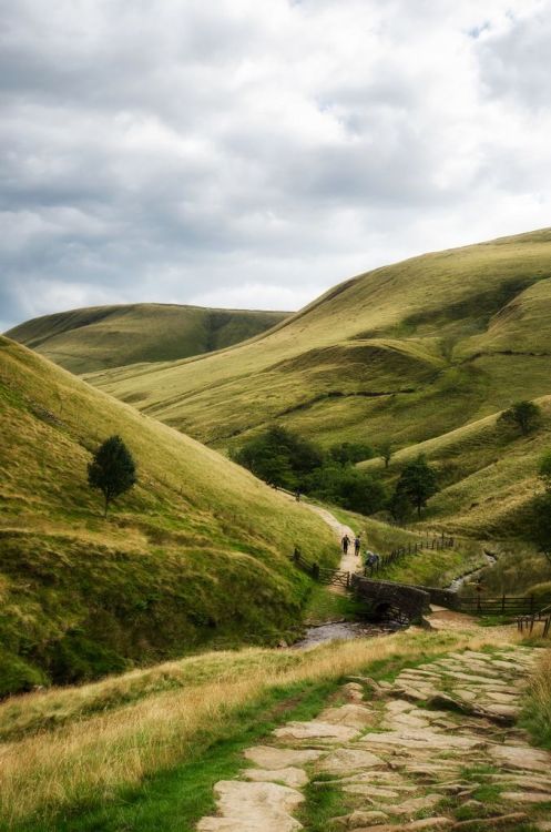 bellasecretgarden:Derbyshire | England