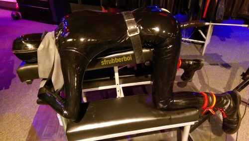 sfrubberboi:  My #fullcoveragefriday since I’m on vacation at the moment 🐶😈😋