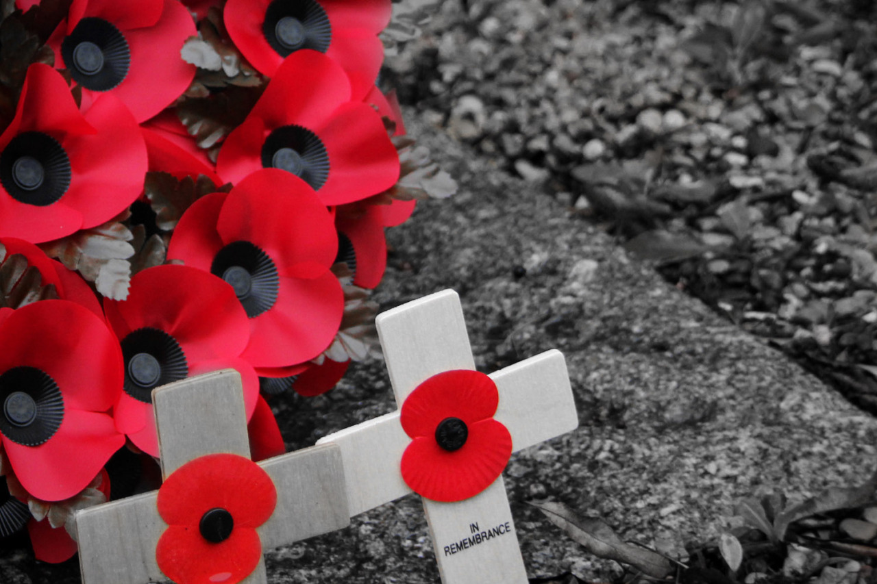 theroyalsaremydrug:  Never was so much owed, by so many, to so few Lest We Forget