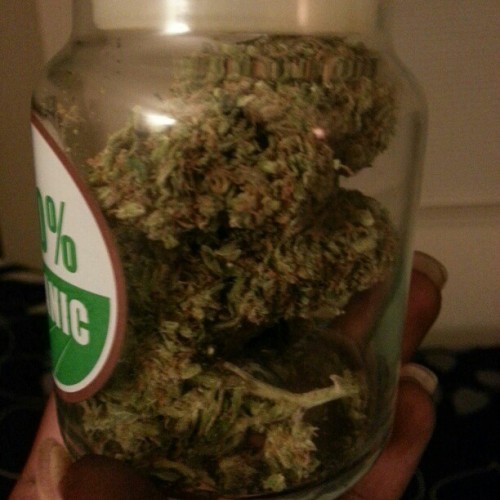 baltimorebred:This is what I like to call a “full tank of dank”