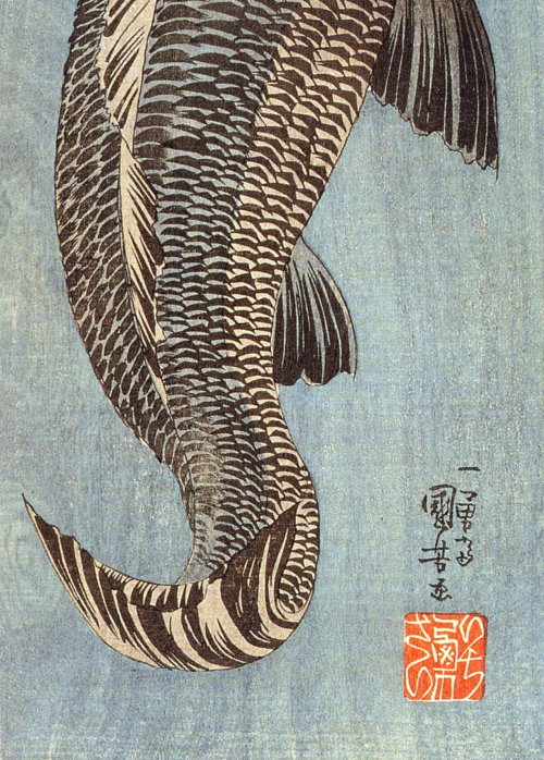 leuc:   Utagawa Kuniyoshi: Black Carp 
