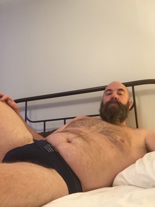 gaybottombears: #gaybear