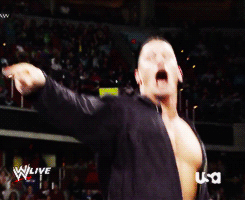 Orton/Cena