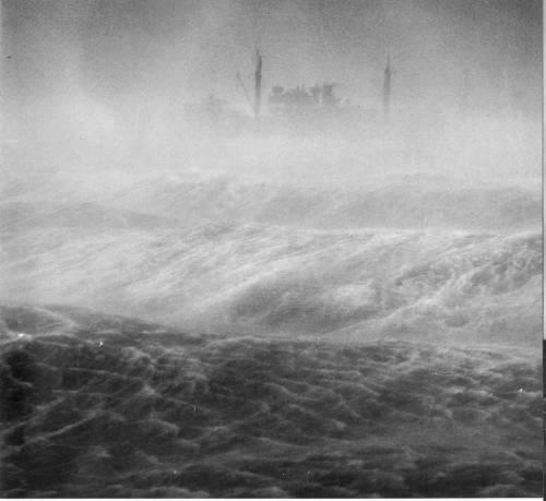 museumuesum:  U.S. Navy Photographer(s) 1941-1945 