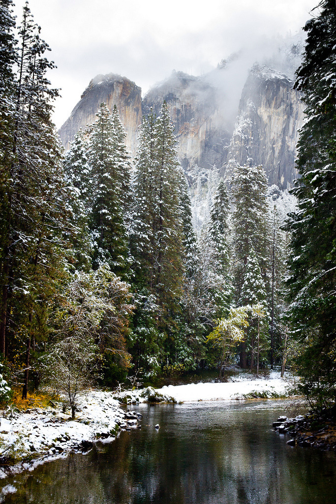 brutalgeneration:  (by melfoody) 