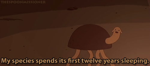 ASK FINN