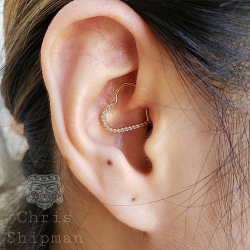 Friggity fresh daith piercing with a yellow gold Cersei heart from @alchemyadornment. Catch me @sham